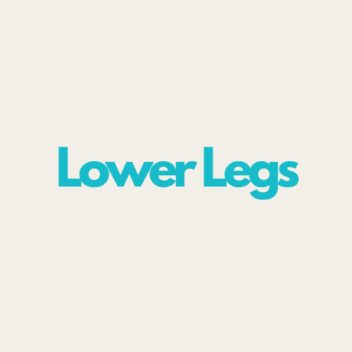 Lower Legs